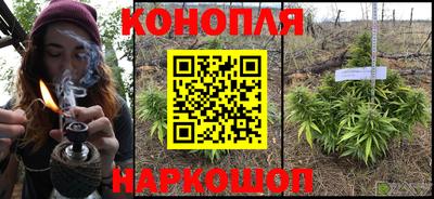 ALPHA PVP Новозыбков